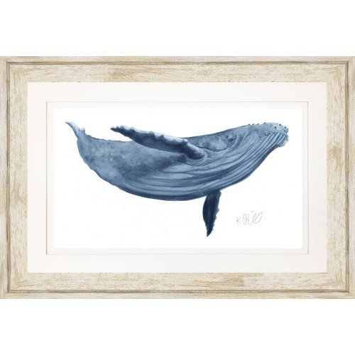 KS- BLUE WHALE 2